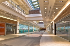 IMG_2242-Панорама